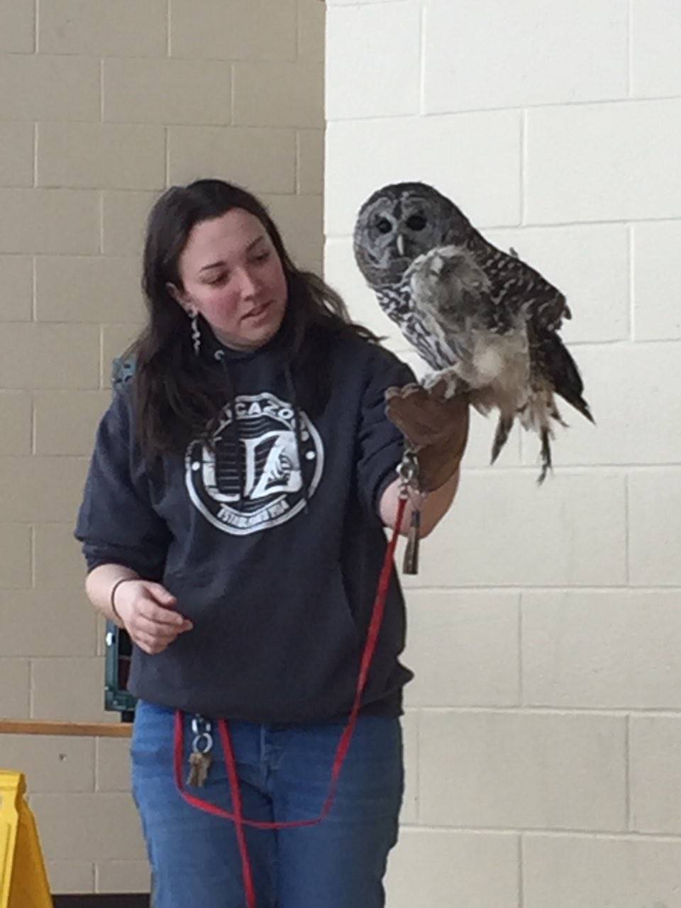 Utica Zoo mobile - owl